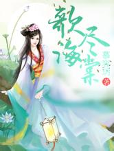 澳门天天彩期期精准平肖惠普b2000